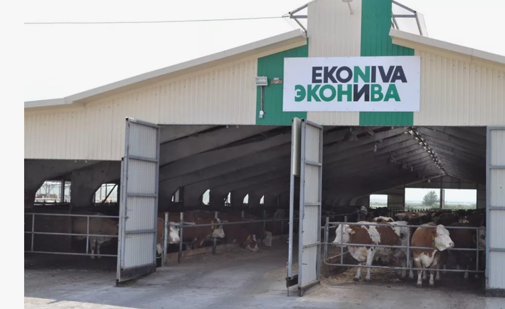 Животноводческий комплекс «Бодеевка», Воронежская область